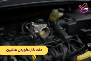علت گاز نخوردن ماشین